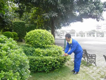 綠化養(yǎng)護如何提高管理水平？