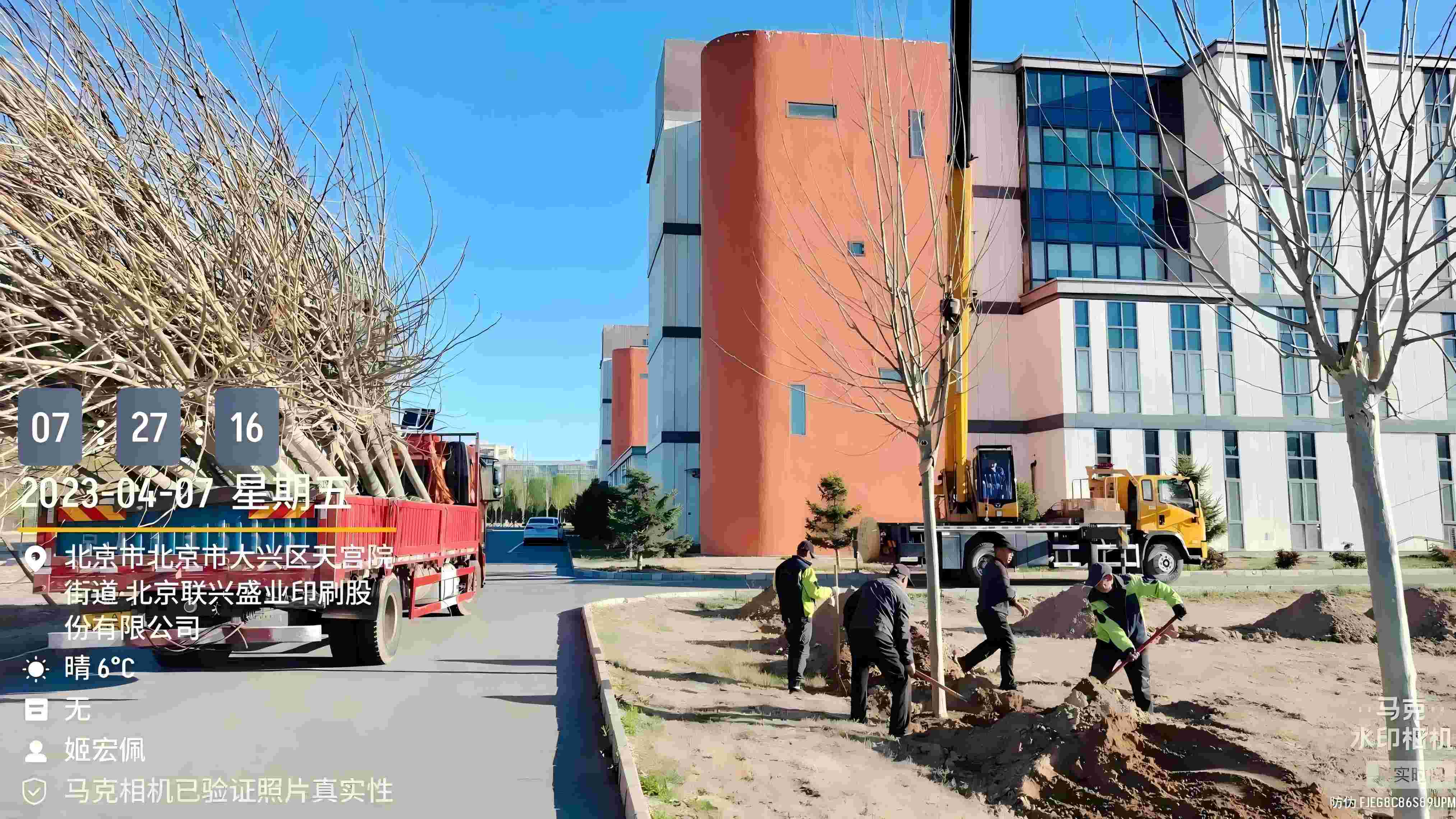 北京春季植樹最好的時(shí)間是什么時(shí)候？